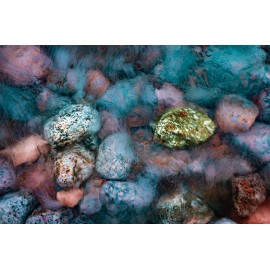 Piedras en vida