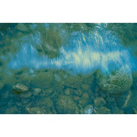 El movimiento en traslucidos de mar y piedras