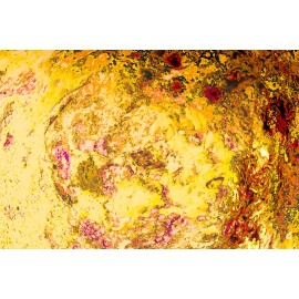 Abstracto naturaleza floral Rosas, amarillos y ocres