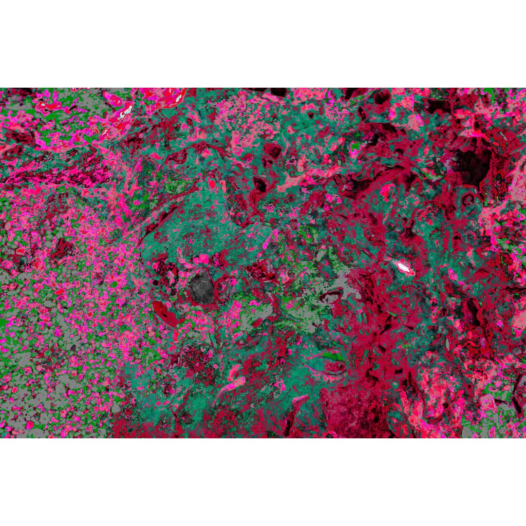 Abstracto naturaleza de ocultos pasiones rosas y verdes opcion 2
