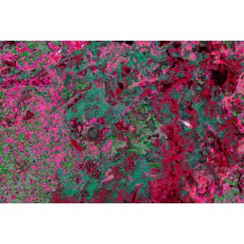 Abstracto naturaleza de ocultos pasiones rosas y verdes opcion 2