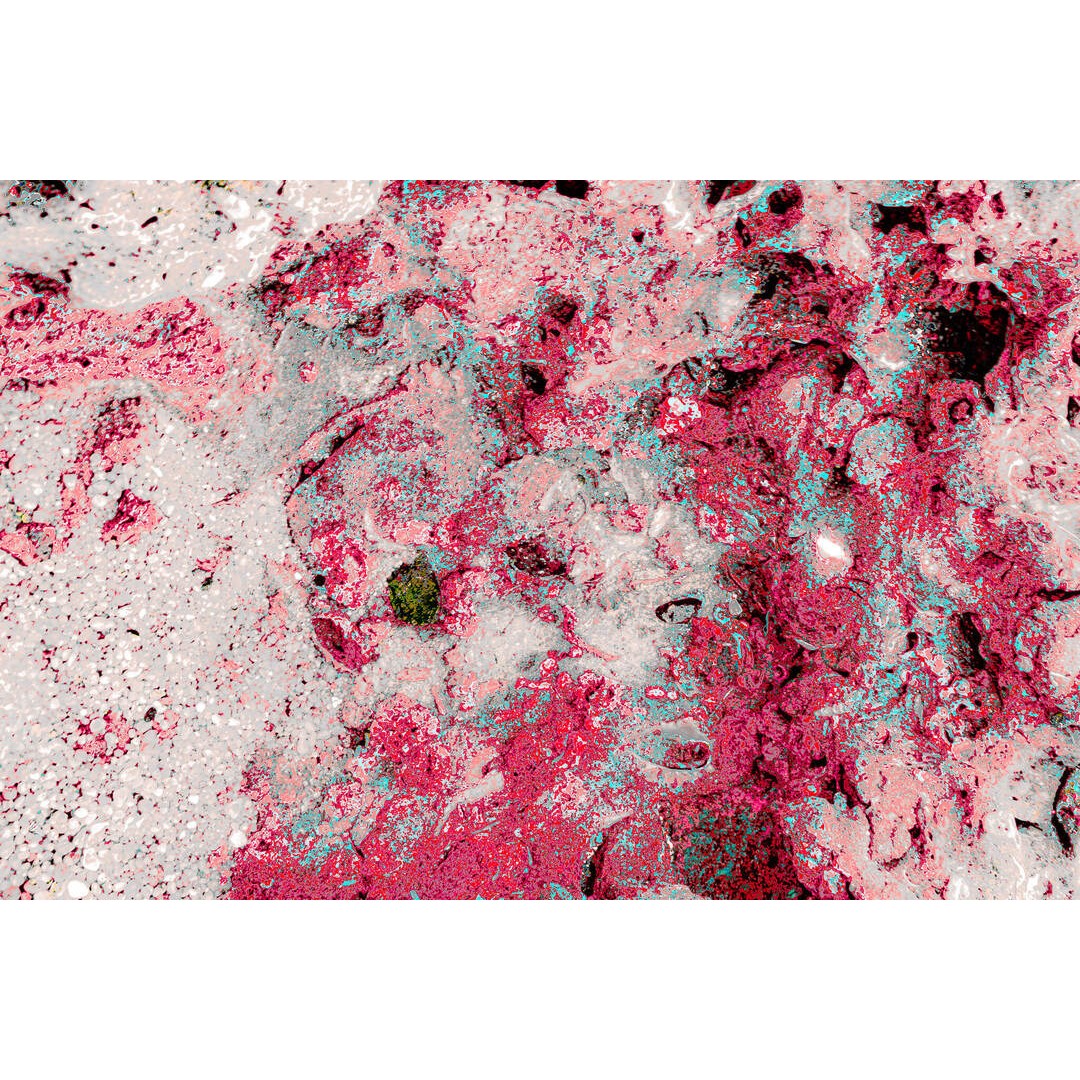 Abstracto naturaleza de ocultos rosas y celestes Opcion 1