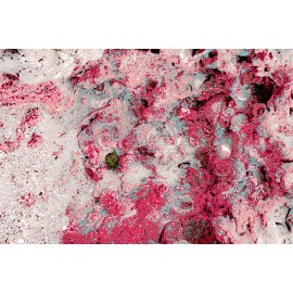 Abstracto naturaleza de ocultos rosas y celestes Opcion 1